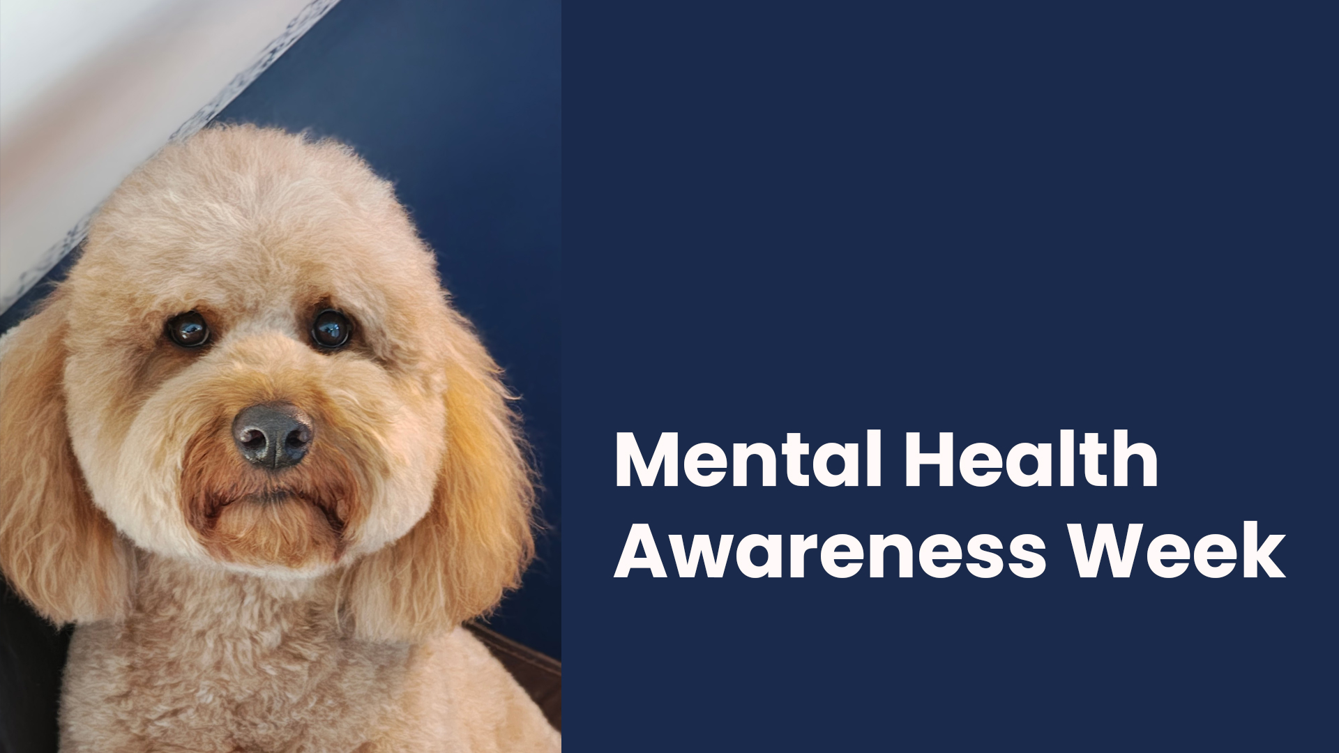 Mental Health Awareness Week